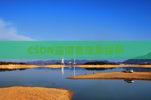 CSDN盗博客现象探析 CSDN盗博客现象探析
